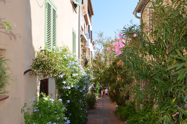 distretto Safranier fiorito in Antibes Vecchio