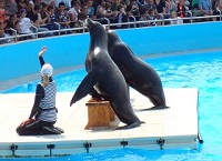 Location à proximité de Marineland