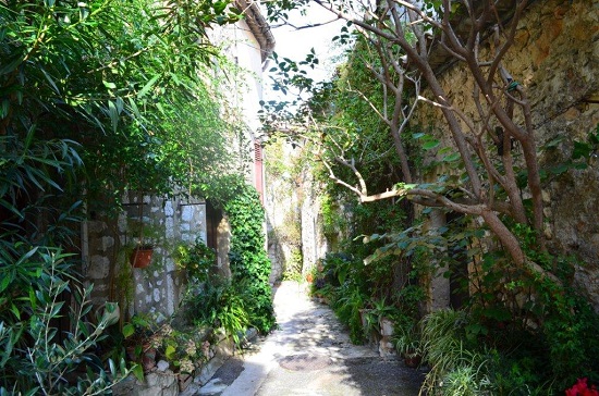 Une ruelle de St Paul de Vence avec une végétation très dense