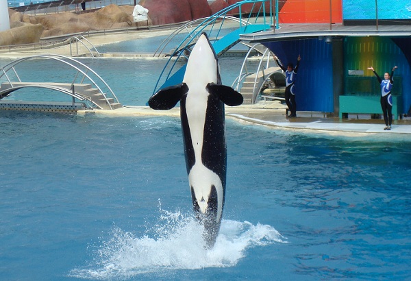 Marineland park in Antibes